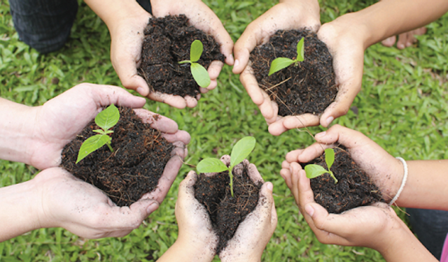 Denizli’de Üreticilere 13,5 Milyon TL Destek Ödemesi Başladı