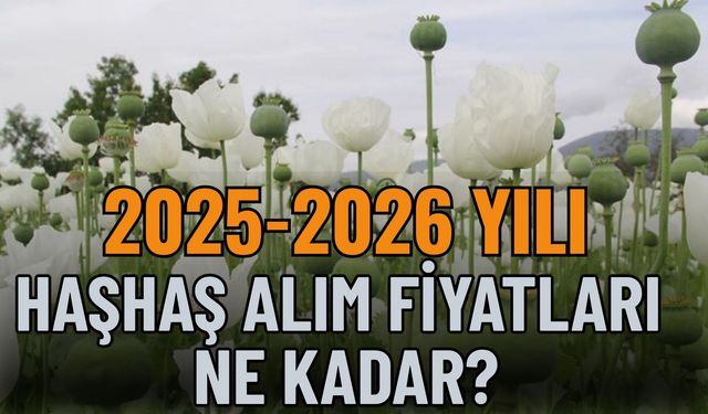2025-2026 Dönemi Haşhaş Ekim ve Alım Şartlarını Açıklandı