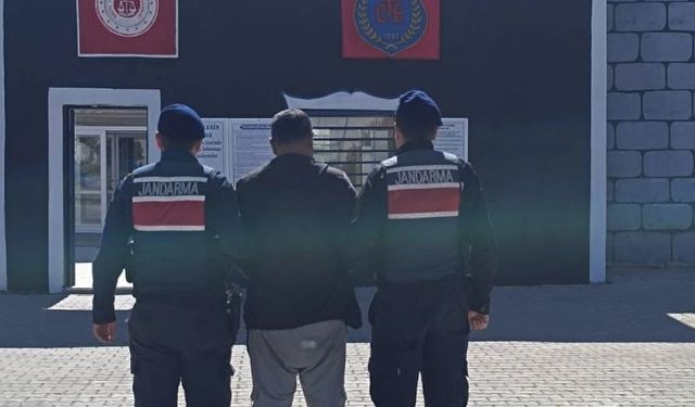 Hayvan Hırsızı ve Yağma Zanlısı Jandarmadan Kaçamadı