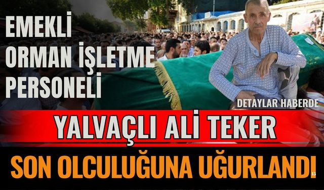 Orman İşletmesi Emeklisi Ali Teker Yaşamını Yitirdi