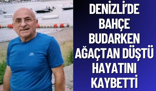 Denizli'de Bahçede Budarken Ağaçtan Düştü: Hayatını Kaybetti