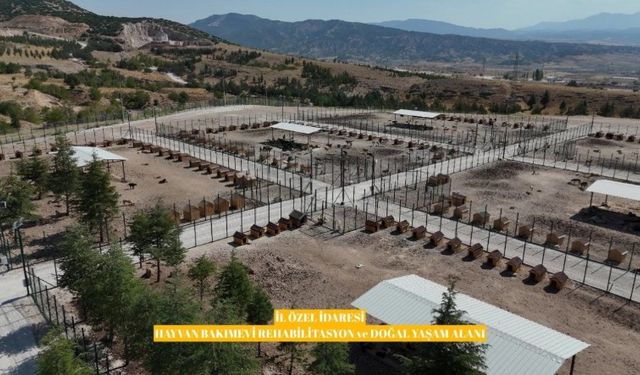 Burdur’da Sokak Hayvanları İçin Yeni Çalışmalar Devam Ediyor
