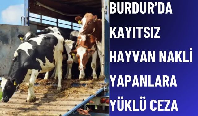 Burdur’da Belgesiz Hayvan Nakli Yapanlara Ceza Uygulandı