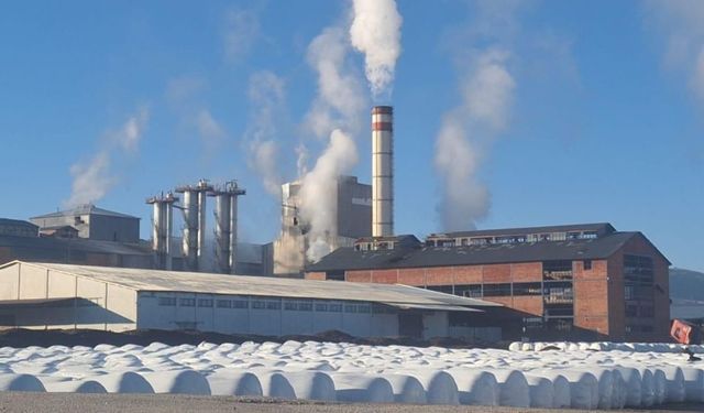 Yaş pancar posası fiyatları açıklandı