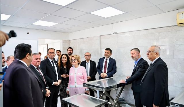 Denizli’de Sokak Hayvanları İçin Ortak Merkez
