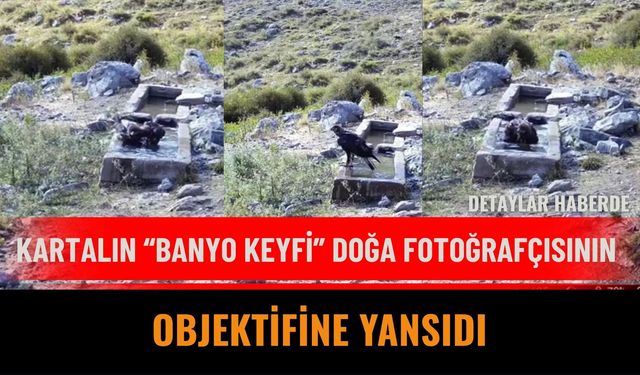 Kartalın “banyo keyfi” doğa fotoğrafçısının objektifine yansıdı