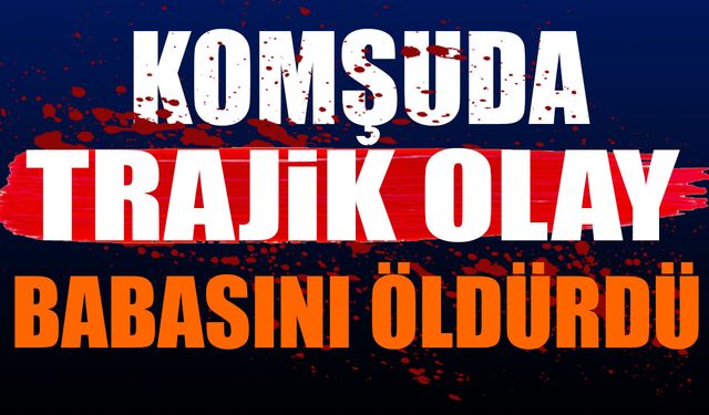 Komşuda trajik olay! Babasını öldürdü