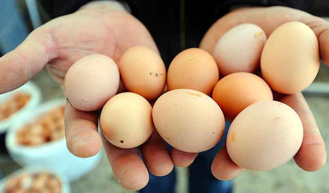 Market Fiyatları El Yakıyor! Yumurtaya Yeni Zam Kapıda mı?