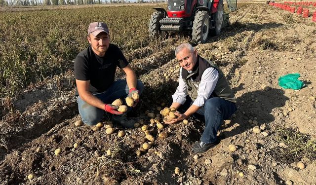 Afyonkarahisar’da patates tarlaları denetlendi