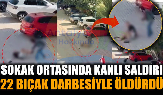 Sokak Ortasında Kanlı Saldırı: 22 Bıçak Darbesiyle Öldürüldü!