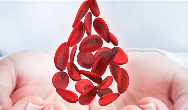 8 aylık Oğuz Kağan için uygun ilik aranıyor