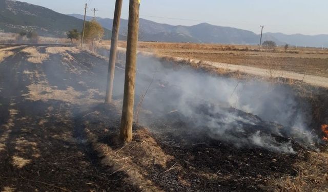 Bucak’ta sazlık yangını tarım arazilerine sıçradı