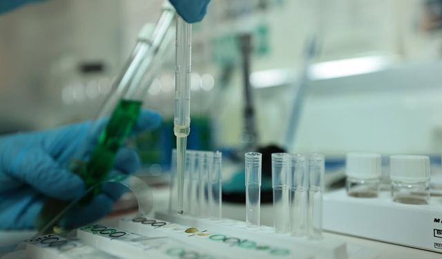 DENÇEV, TÜRKAK denetimini başarıyla tamamladı