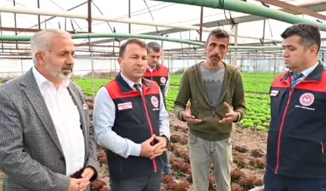 Denizli Tarım ve Orman Müdürlüğü ekipleri sahada