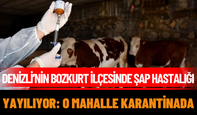 Denizli’nin Bozkurt İlçesinde Şap Hastalığı Yayılıyor: O Mahalle Karantinada