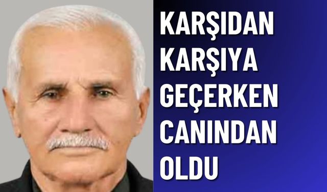 Antalya'da Karşıya Geçmek İsterken Otomobil Çarptı