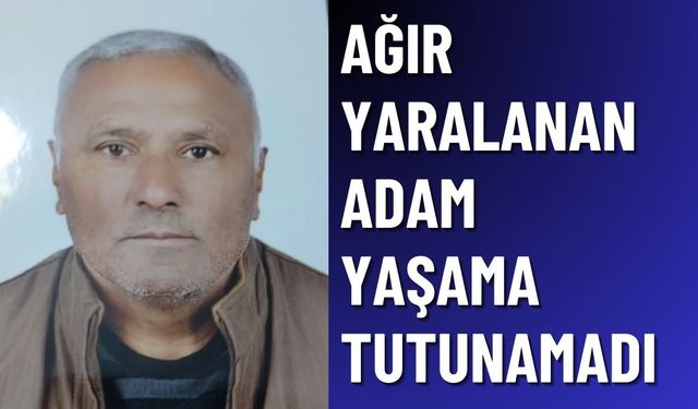 Denizli'de Kazada Ağır Yaralanmıştı: Hayatını Kaybetti