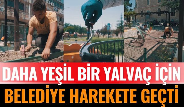 Daha Yeşil Bir Yalvaç İçin Belediye Harekete Geçti