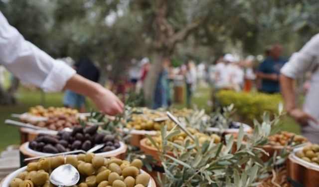 Manavgat’ta Zeytin ve Zeytinyağı Festivali İçin Geri Sayım