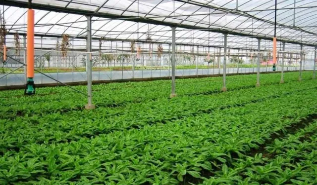 Denizli’de kırsal kalkınmaya yönelik 3 yatırıma 19,6 milyon TL destek ödemesi yapılacak