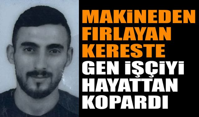 Makineden fırlayan kereste genç işçiyi yaşamdan kopardı
