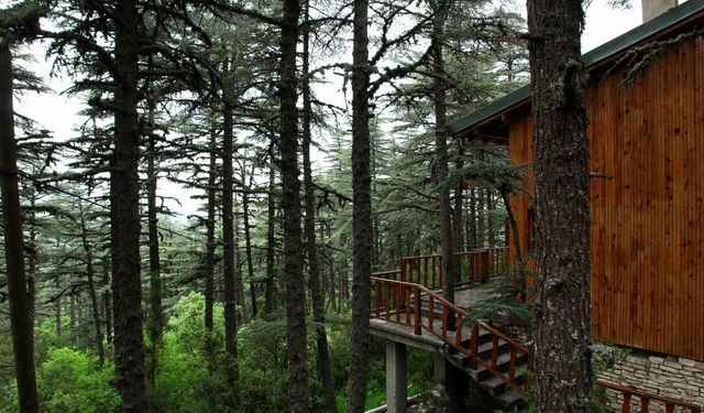 Şarkikaraağaç Kızıldağ Milli Parkı'ndaki Tesisler Kiraya Veriliyor