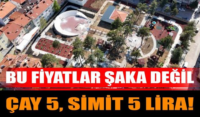 Bu Fiyatlar Şaka Değil Çay 5, Simit 5 Lira!