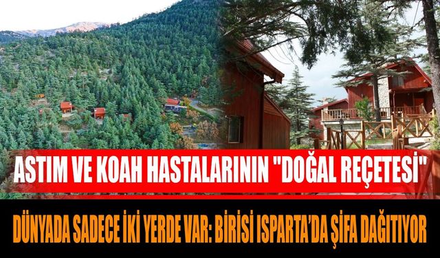 Dünyada Sadece İki Yerde Var: Birisi Isparta’da Şifa Dağıtıyor