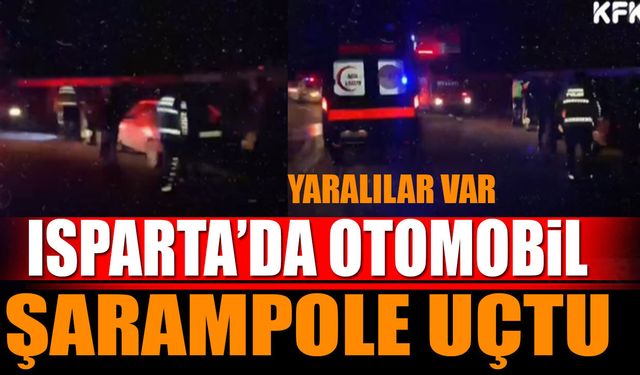 kontrolden çıkan otomobilin şarampole uçtu