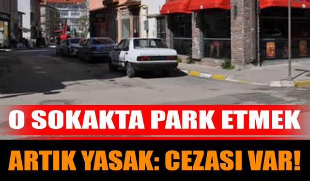 O Sokakta Park Etmek Artık Yasak: Cezası Var!