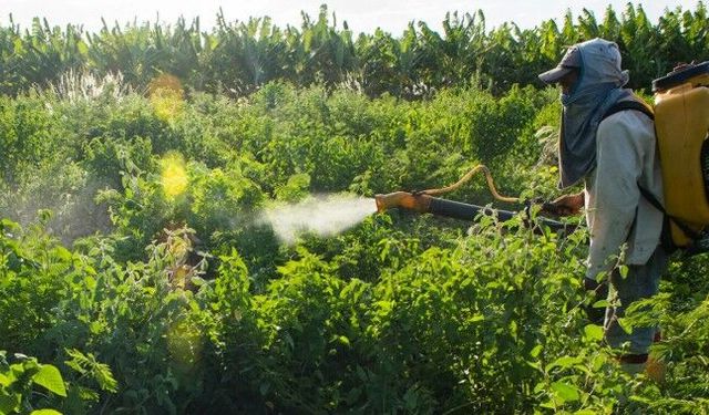 Karayoluna Dökülen İlaçlar Tehlike Saçıyor