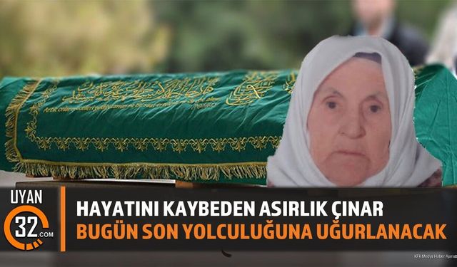 Asırlık Çınar Son Yolculuğuna Uğurlanacak