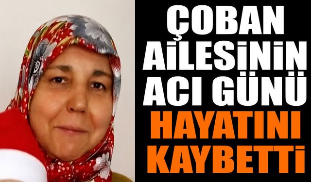 Çoban ailesinin acı günü hayatını kaybetti