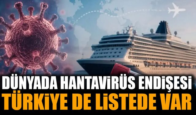 Dünya Sağlık Örgütü Duyurdu: Türkiye Dahil Birçok Ülkede Hantavirüs Alarmı