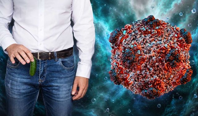 Hantavirüs penis boyutunu küçültür mü? Sosyal medyadaki iddia için bilimsel yanıt