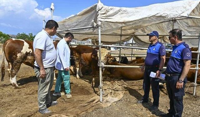 Muratpaşa’da Kurban Kesim Noktaları Belirlendi