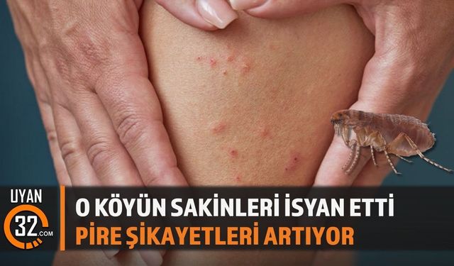 Şarkikaraağaç Köylerinde Pire Sorunu Vatandaşları İsyan Ettirdi