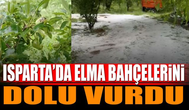 Isparta'da elma bahçelerini dolu vurdu