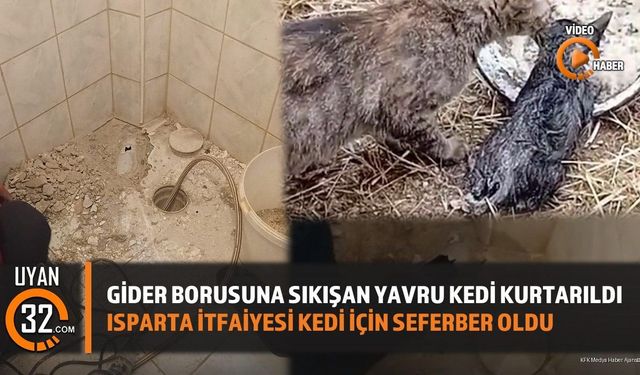 Isparta'da Gider Borusuna Sıkışan Yavru Kedi Kurtarıldı