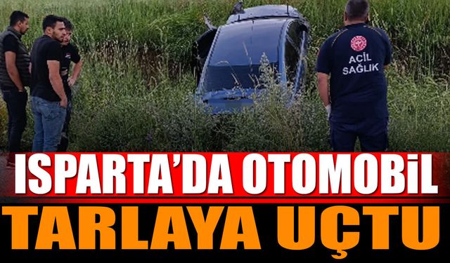 Isparta'da otomobil tarlaya uçtu
