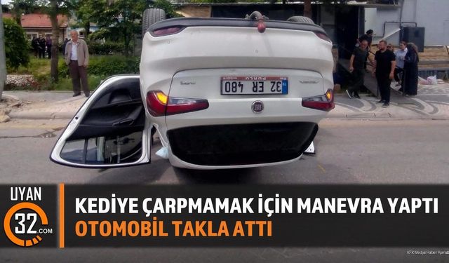 Kediye çarpmamak için manevra yaptı Otomobil takla attı