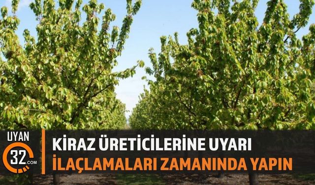 Kiraz Üreticilerine Kritik Uyarı: İlaçlama Zamanı Geldi