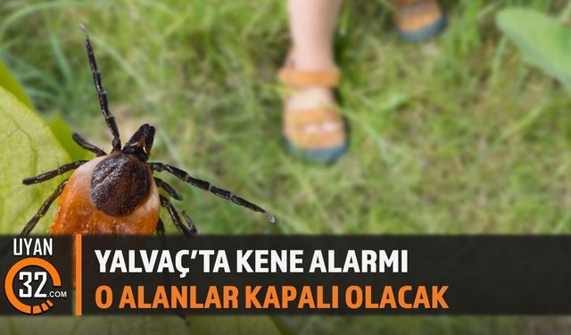Yalvaç'ta Kene Alarmı! İlaçlama Çalışması Başlıyor