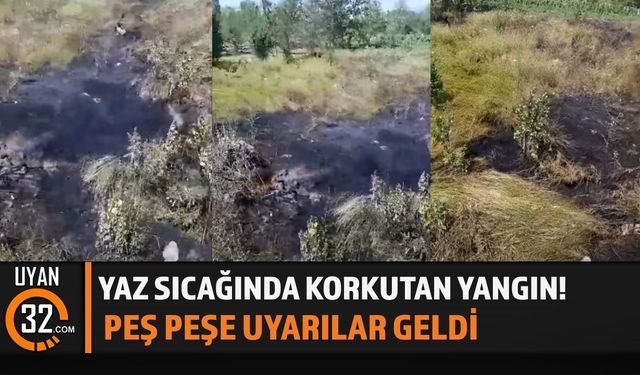 Şarkikaraağaç'ta Alevler Yükseldi, Ekipler Seferber Oldu