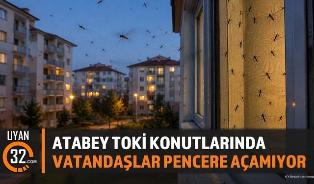 Atabey Yukarı TOKİ Konutları'nda Sinek Kabusu: Vatandaşlar Çözüm Bekliyor