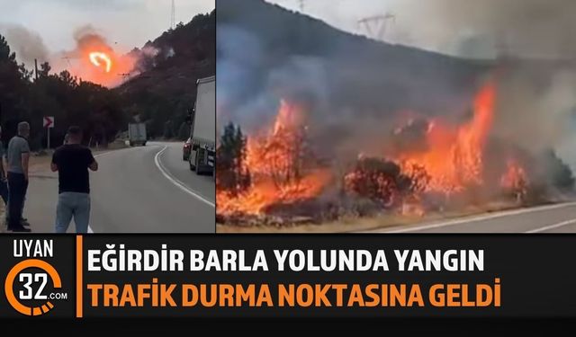 Eğirdir-Barla Yolunda Yangın Paniği!