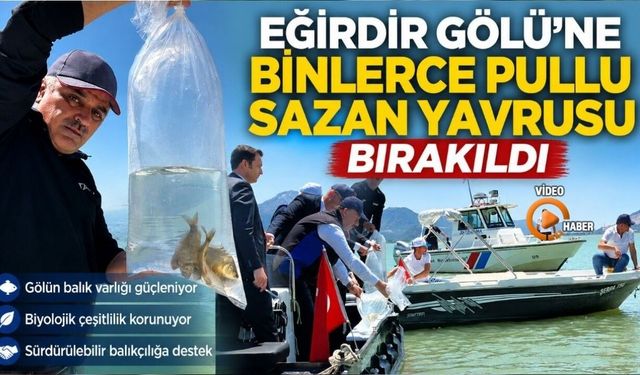 Eğirdir Gölü'ne Binlerce Pullu Sazan Yavrusu Bırakıldı