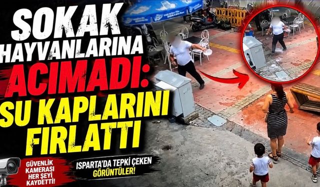 Sokak Hayvanlarının Su Kaplarını Fırlattı