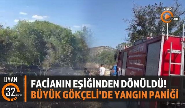 Facianın Eşiğinden Dönüldü! Büyük Gökçeli'de Yangın Paniği
