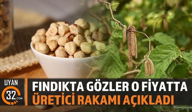 Fındıkta Yeni Alım Fiyatı Beklentisi Yükseldi: Üreticiden Net Rakam